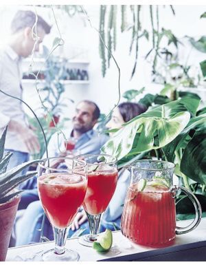 Recettes d'apéritifs